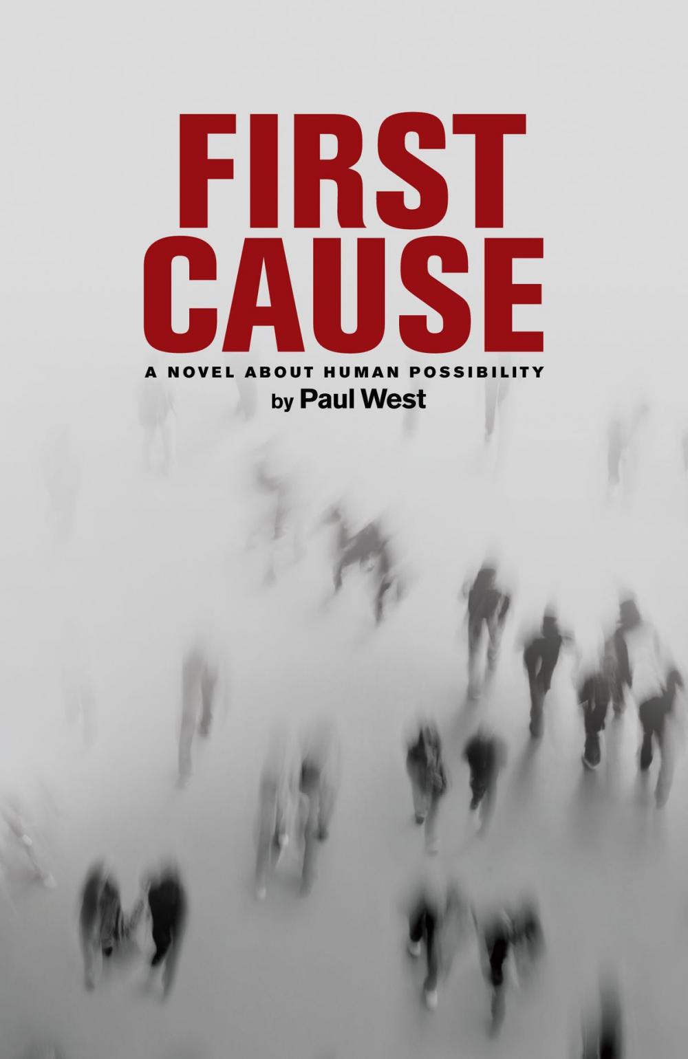 Big bigCover of First Cause