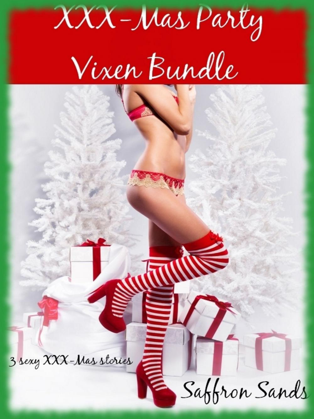 Big bigCover of XXX-Mas Party Vixen Bundle