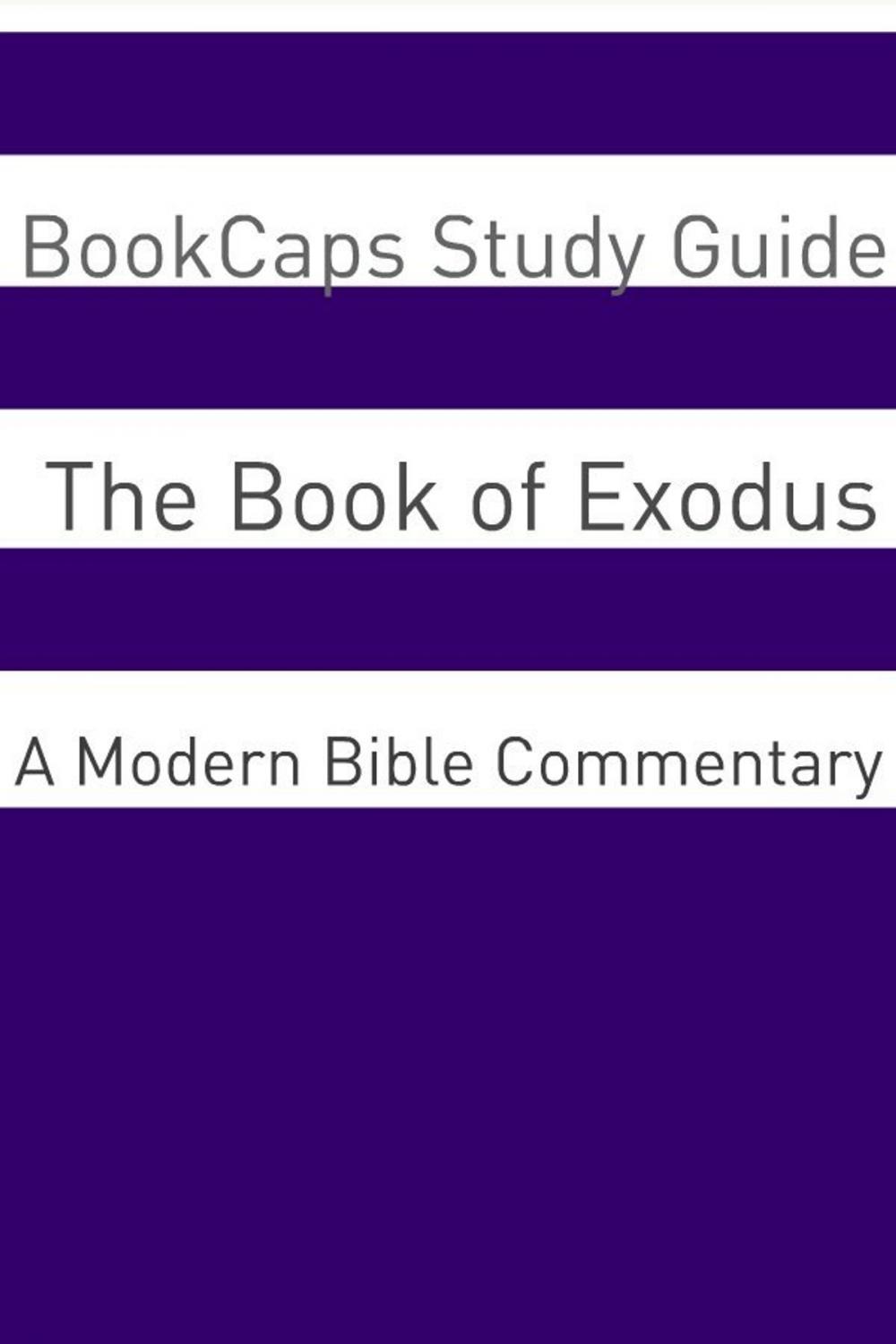 Big bigCover of The Book of Exodus: A Modern Bible Commentary