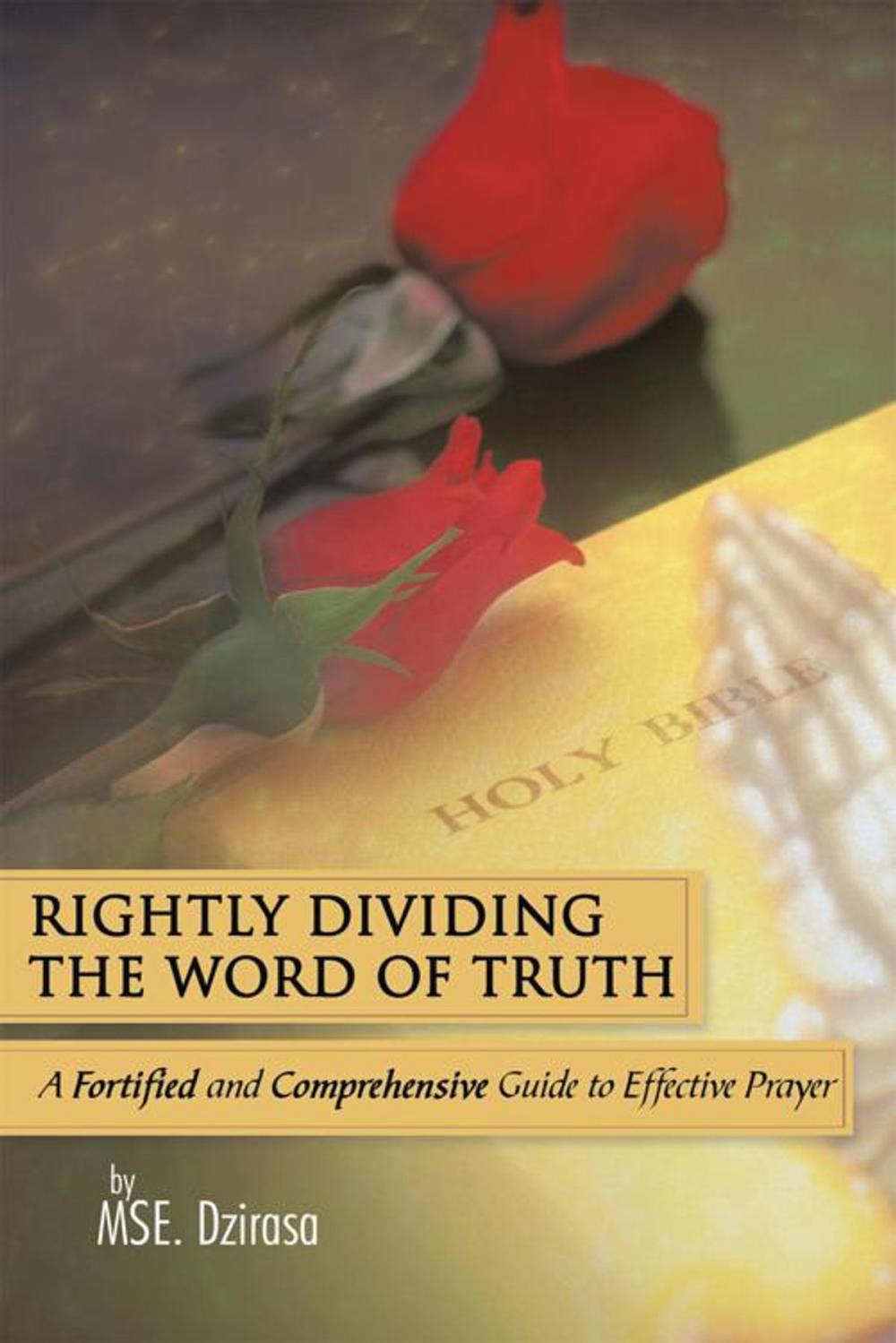 Big bigCover of Rightly Dividing the Word of Truth