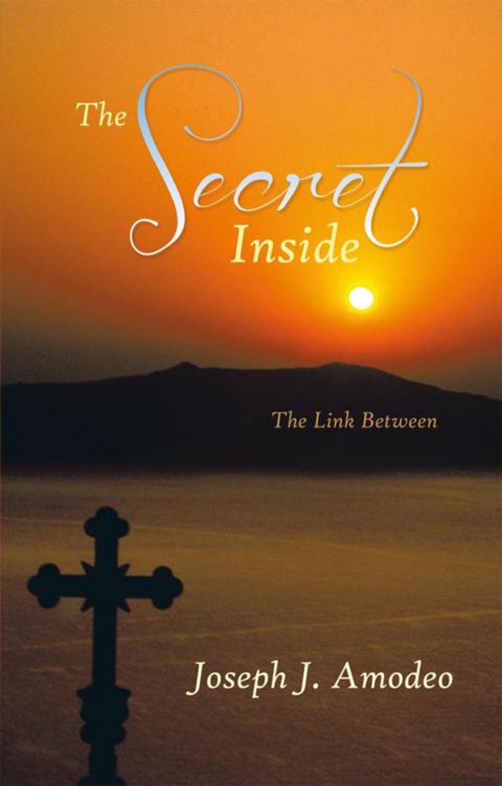 Big bigCover of The Secret Inside