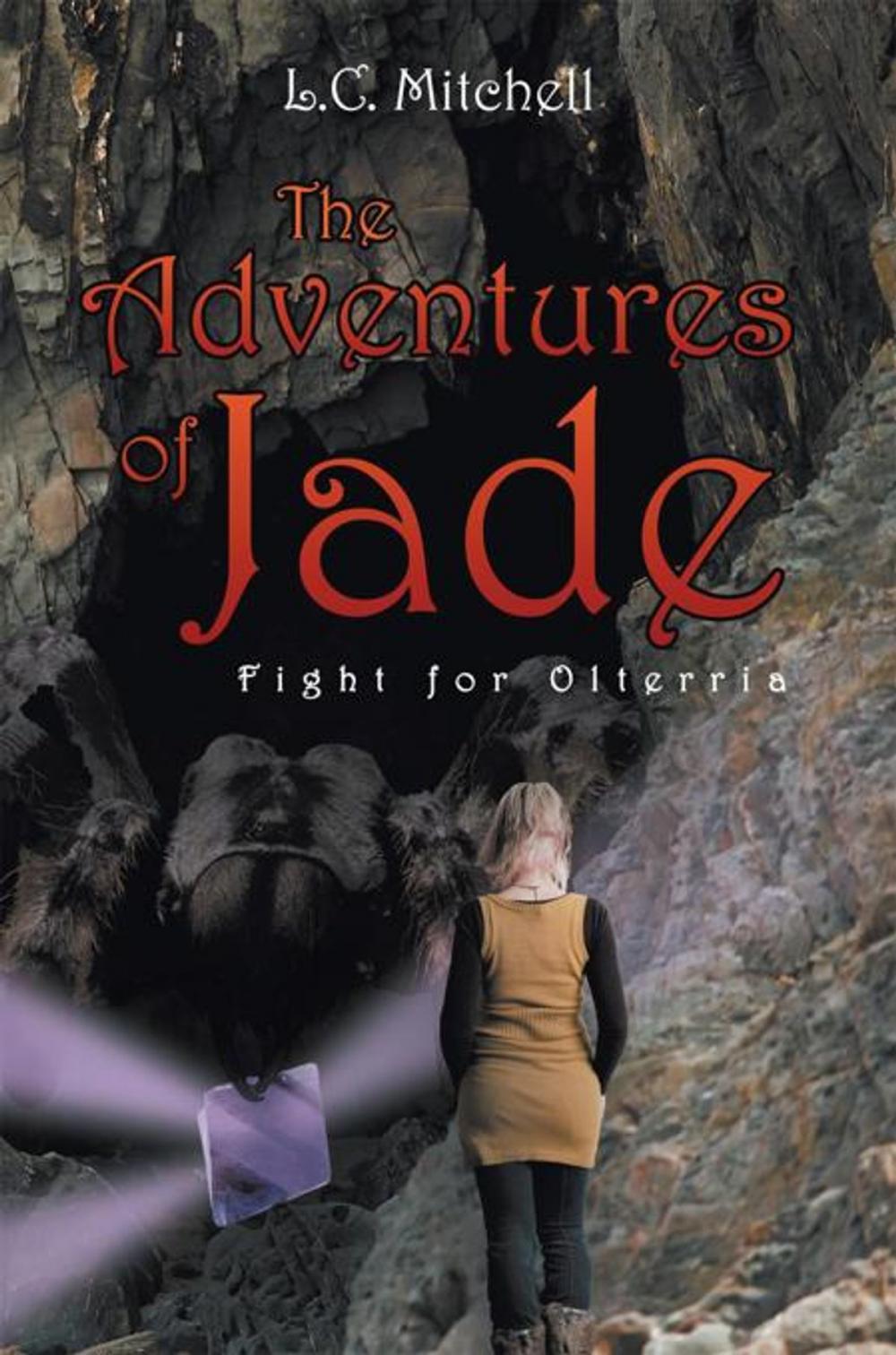 Big bigCover of The Adventures of Jade