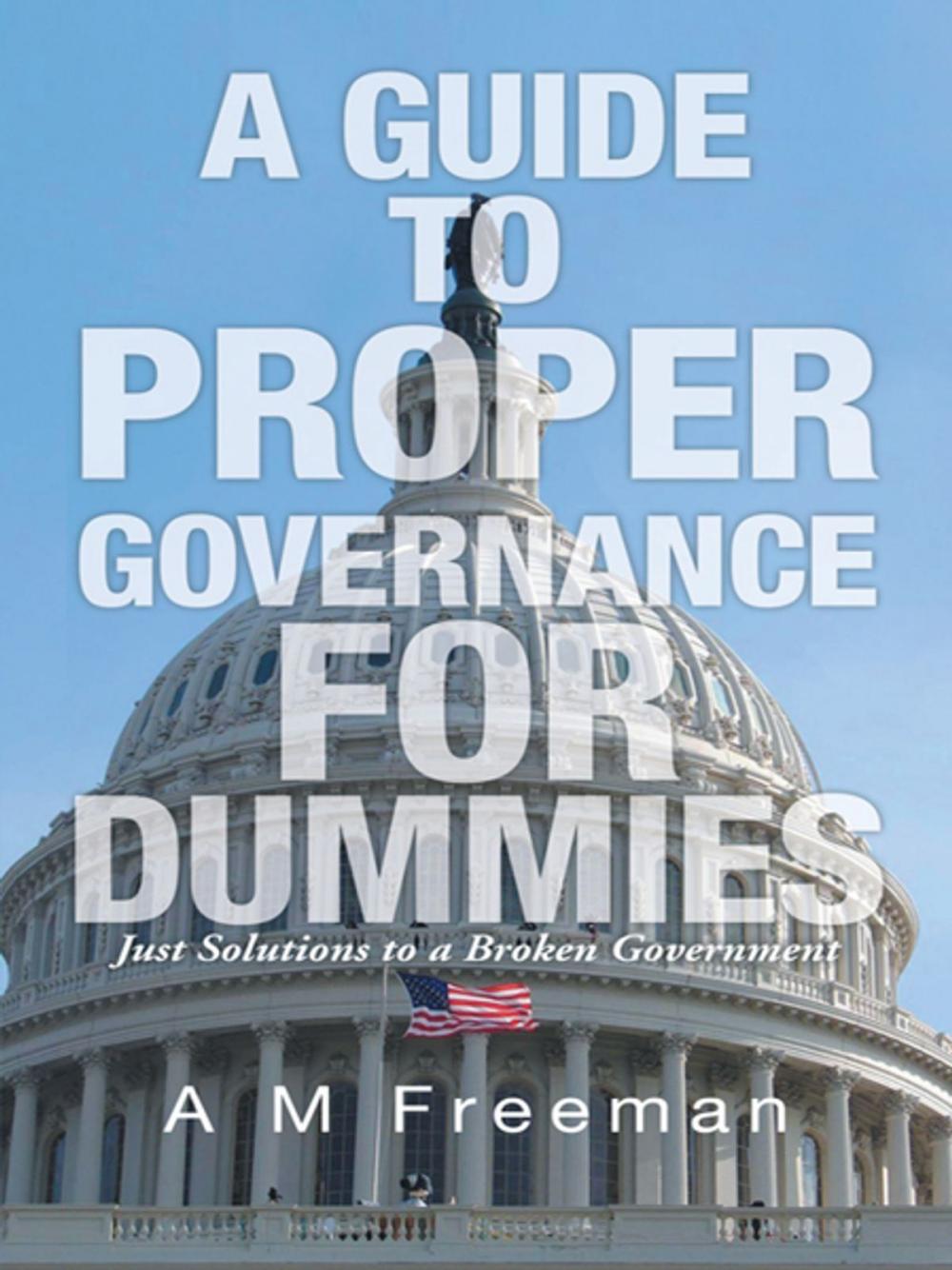 Big bigCover of A Guide to Proper Governance for Dummies