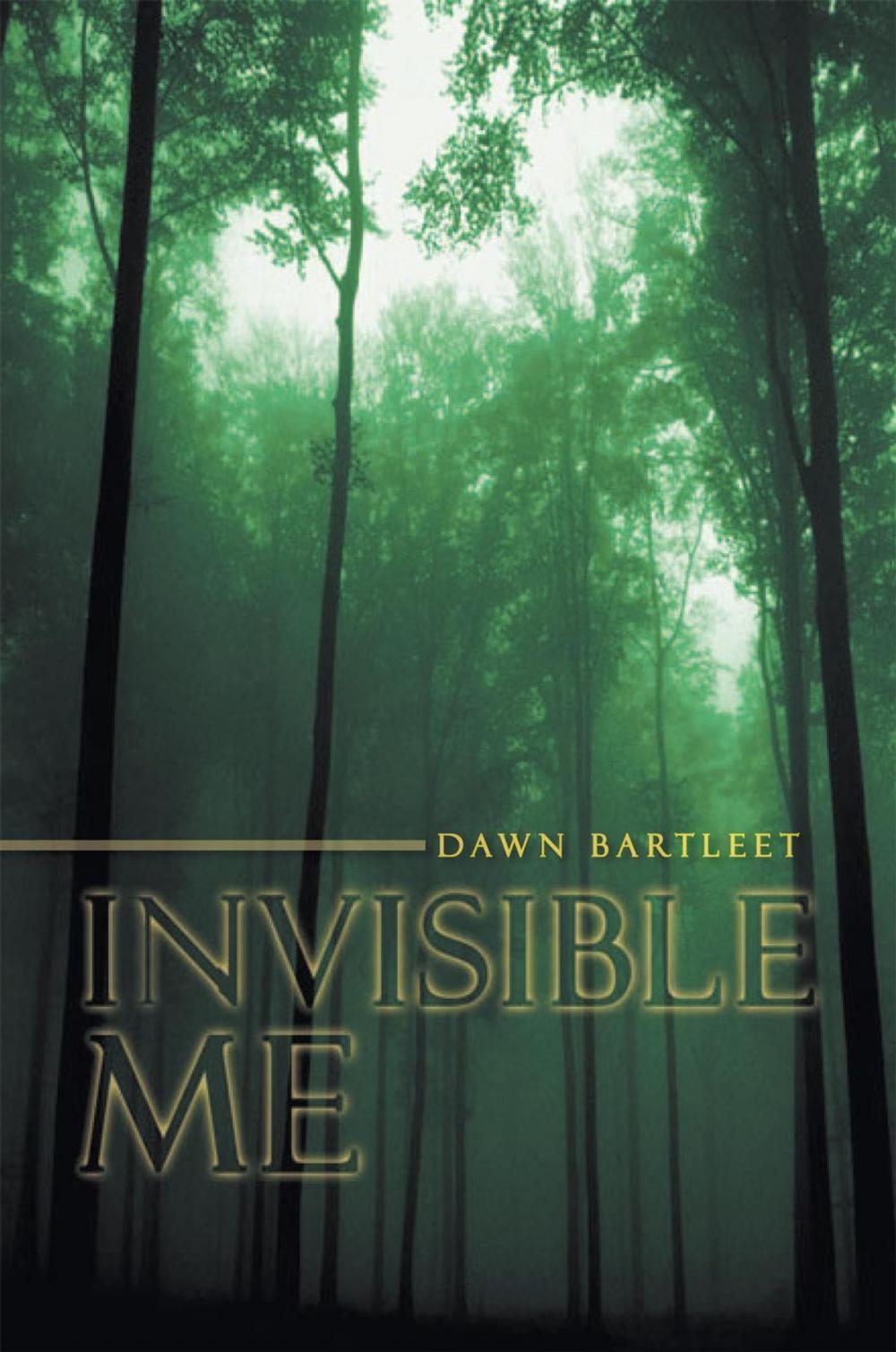 Big bigCover of Invisible Me