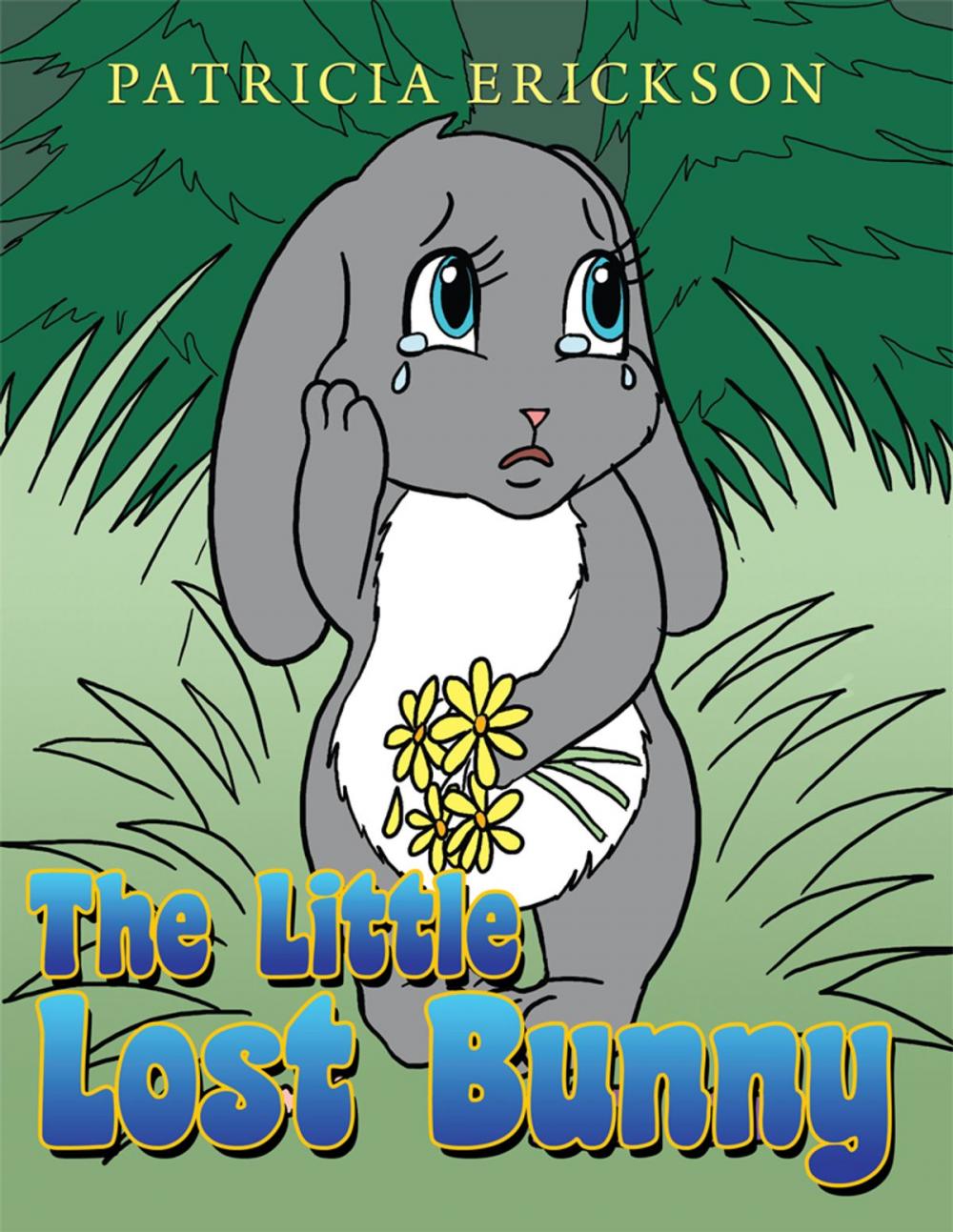 Big bigCover of The Little Lost Bunny