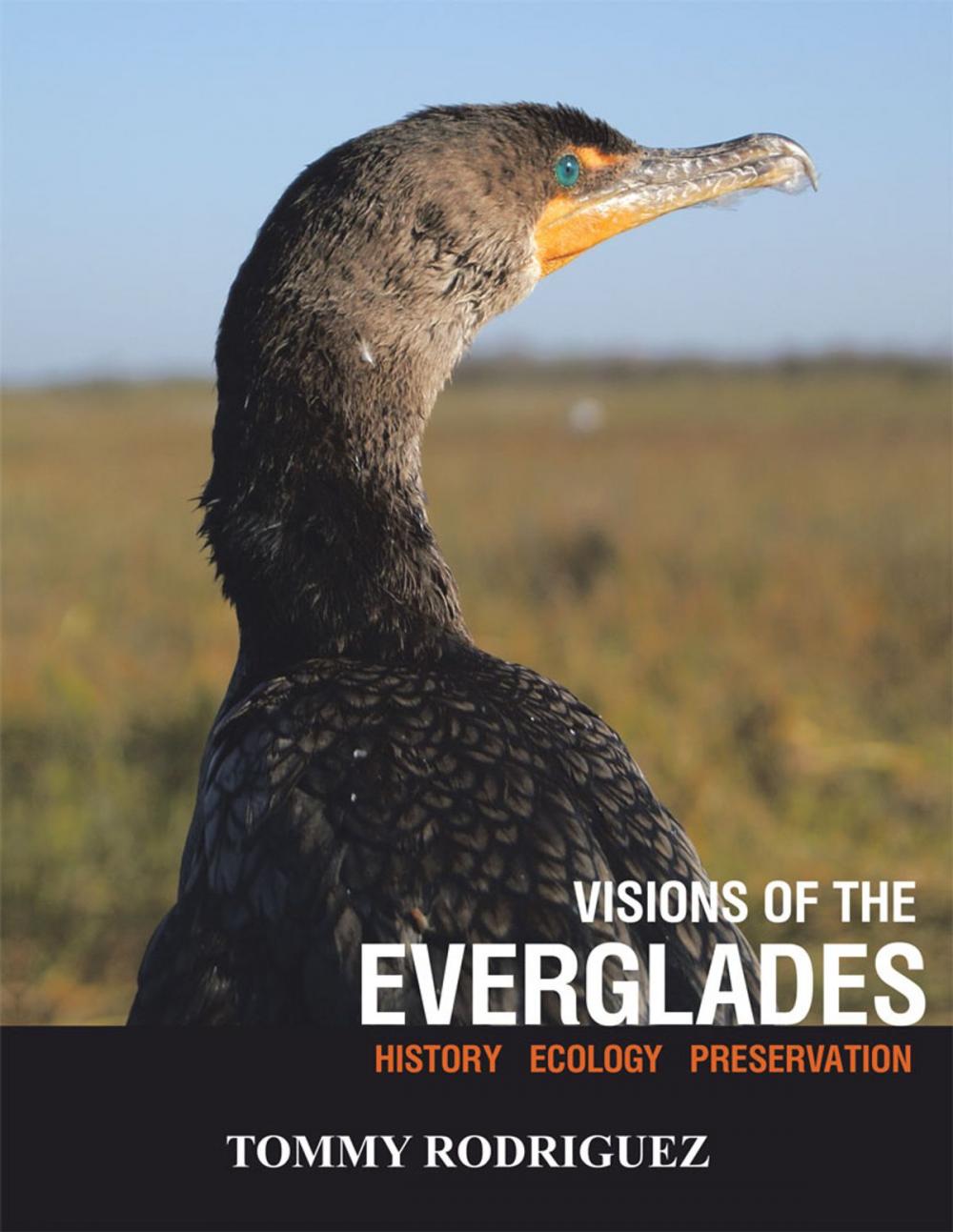 Big bigCover of Visions of the Everglades