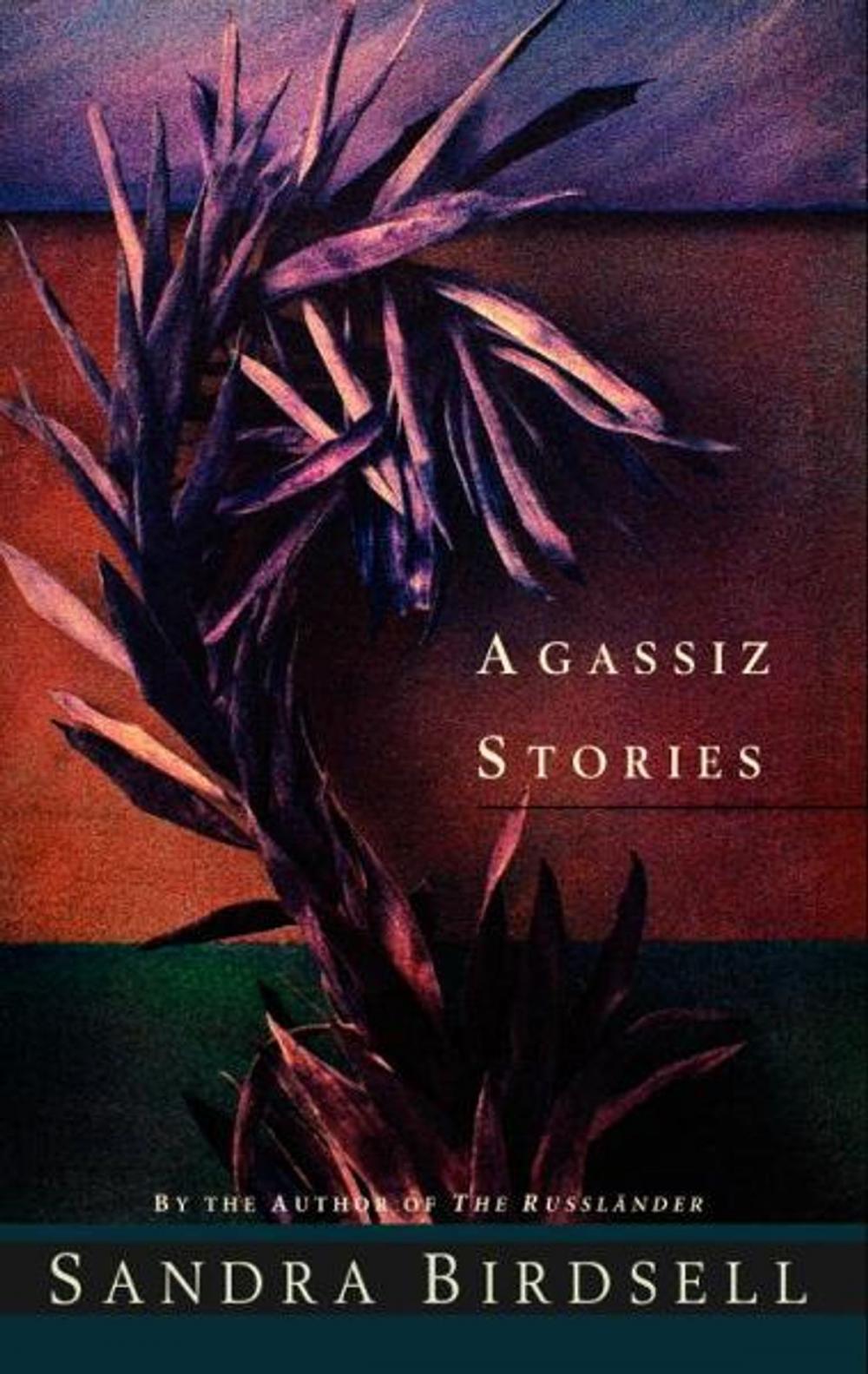 Big bigCover of Agassiz Stories