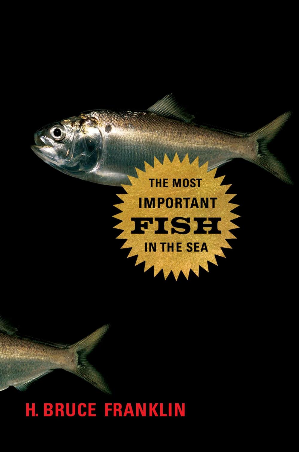 Big bigCover of The Most Important Fish in the Sea