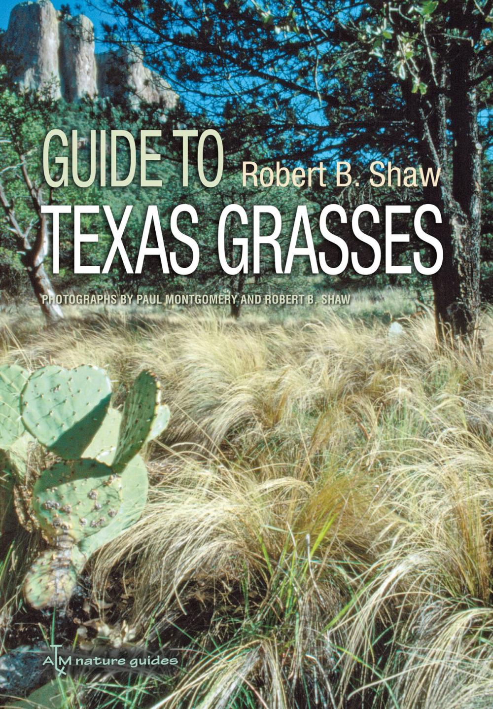 Big bigCover of Guide to Texas Grasses