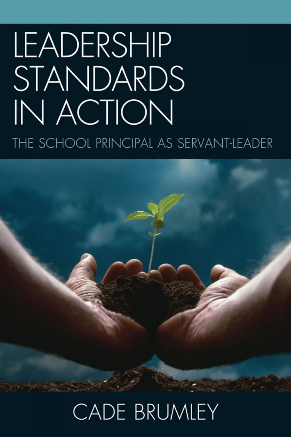 Big bigCover of Leadership Standards in Action