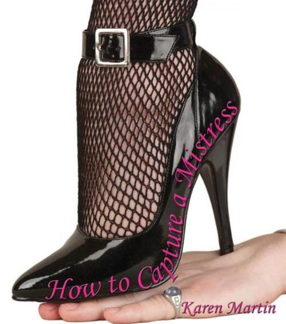 Big bigCover of How to Capture a Mistress