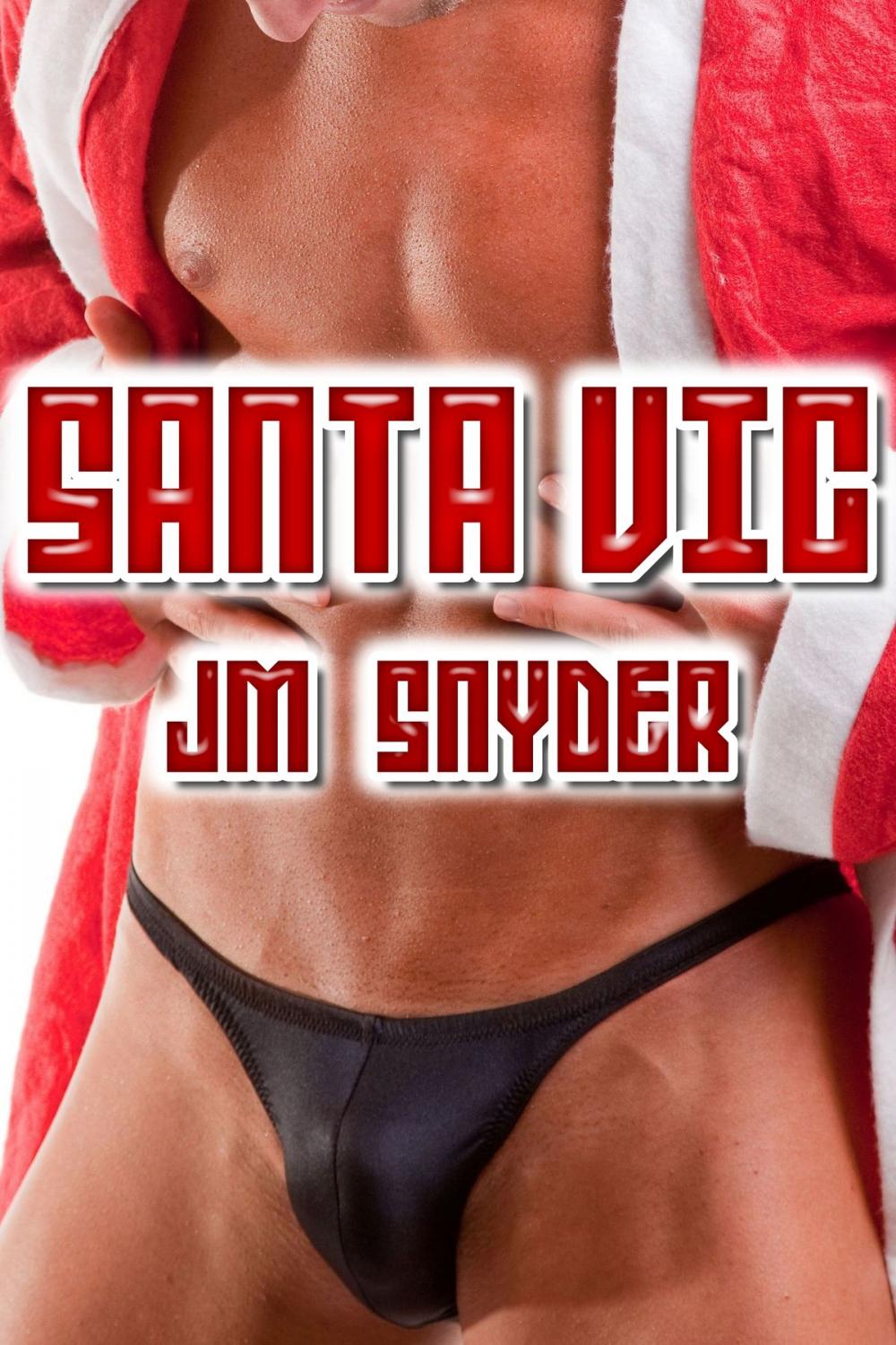 Big bigCover of Santa Vic