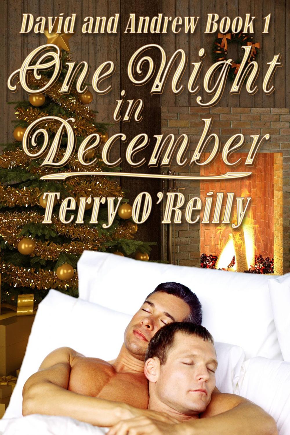 Big bigCover of David and Andrew Book 1: One Night in December