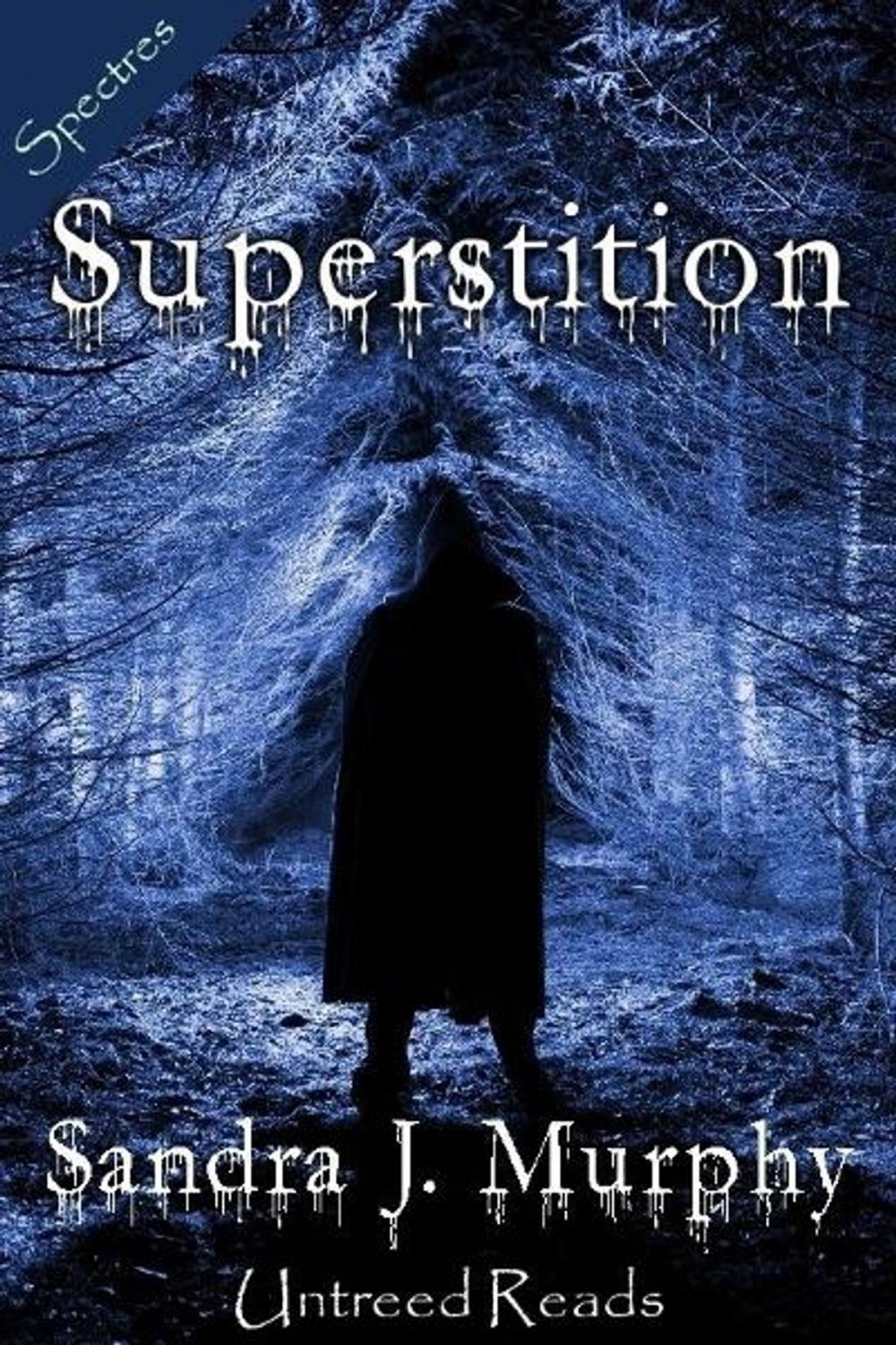 Big bigCover of Superstition