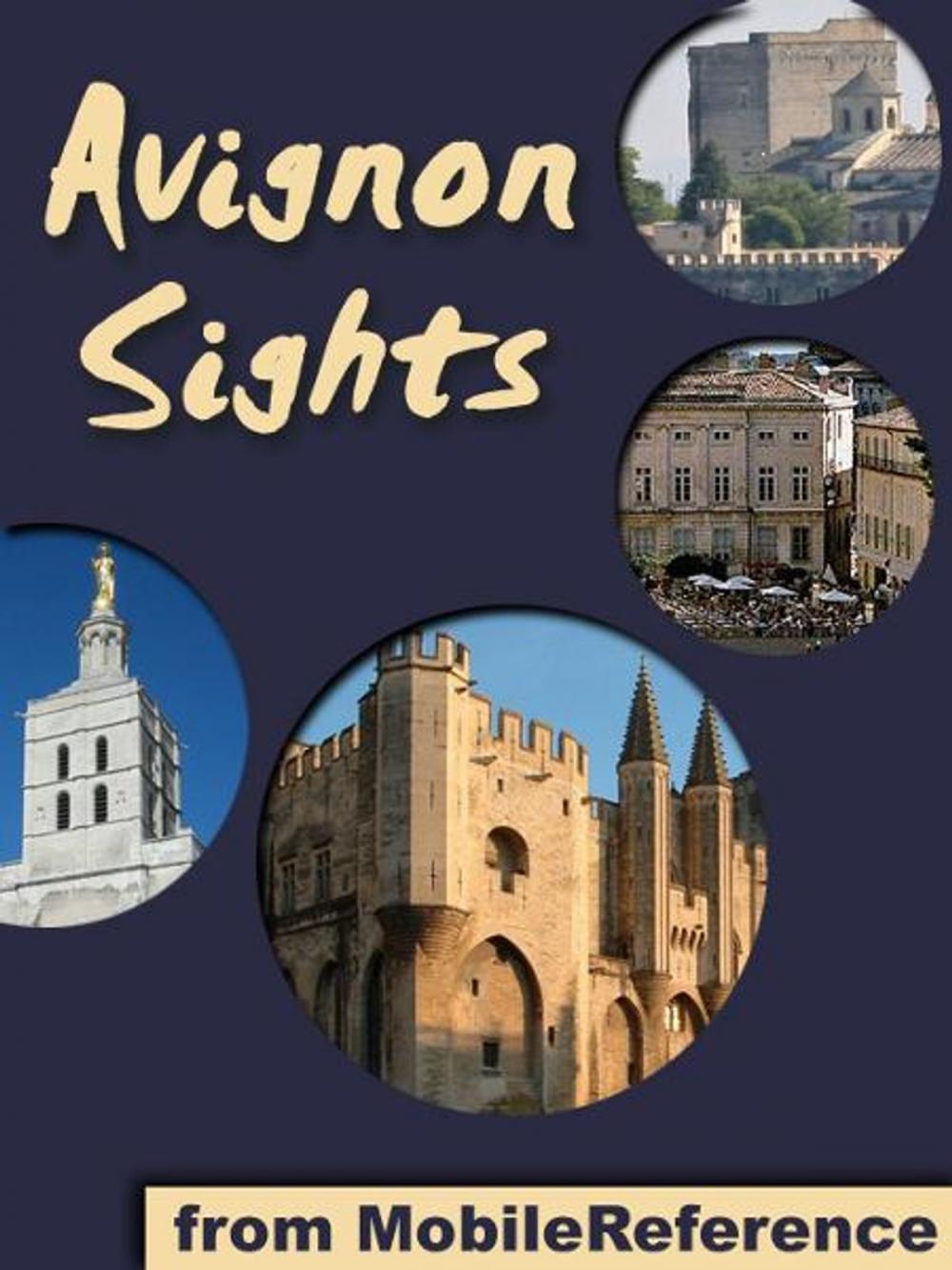 Big bigCover of Avignon Sights: a travel guide to the top 15 attractions in Avignon, France (Mobi Sights)