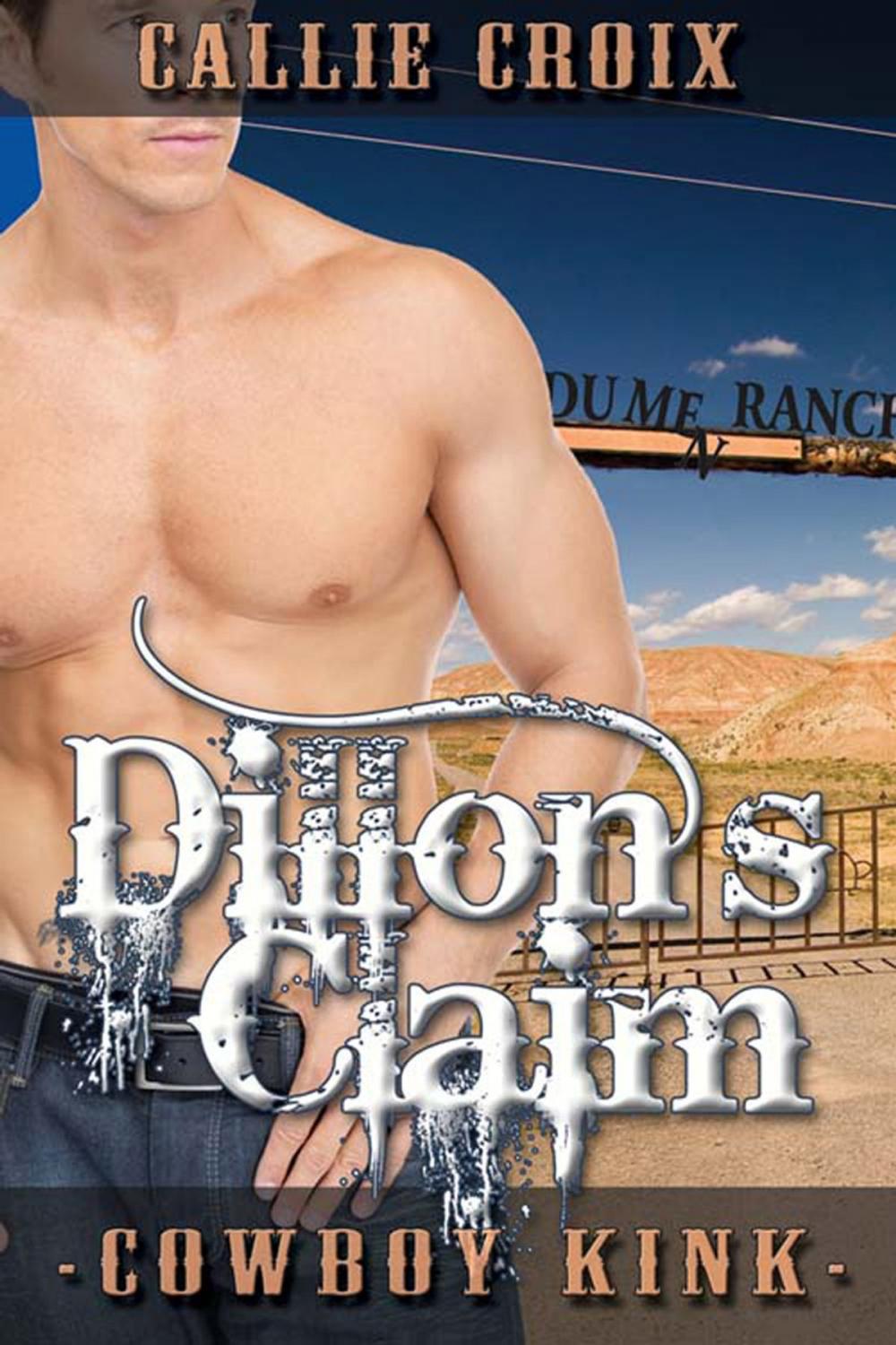 Big bigCover of Dillon's Claim