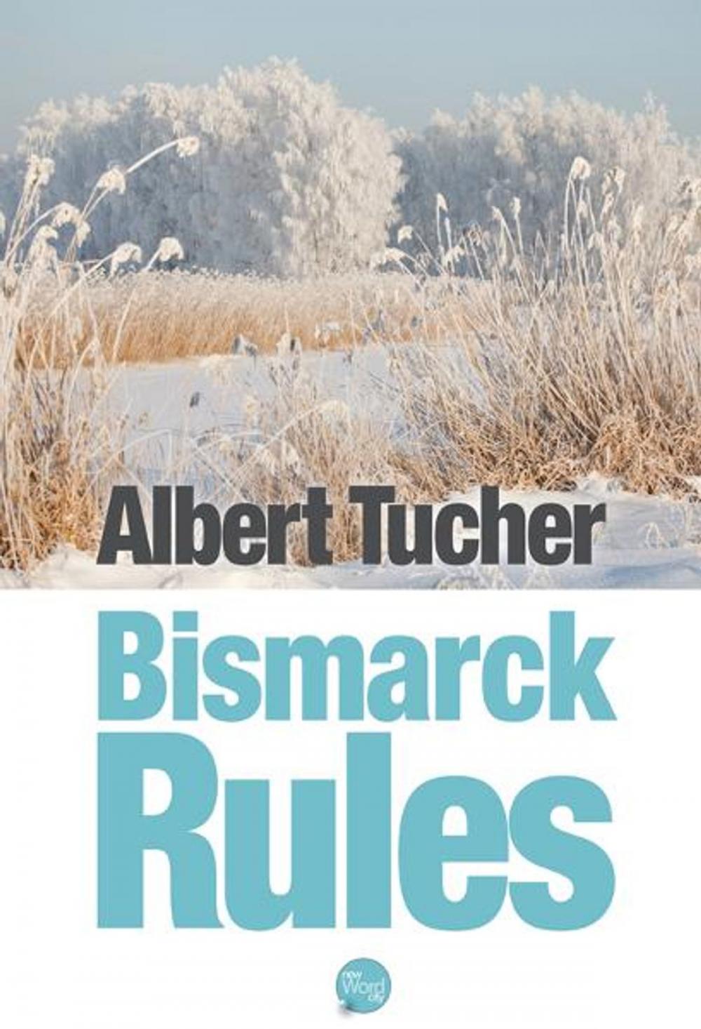 Big bigCover of Bismarck Rules