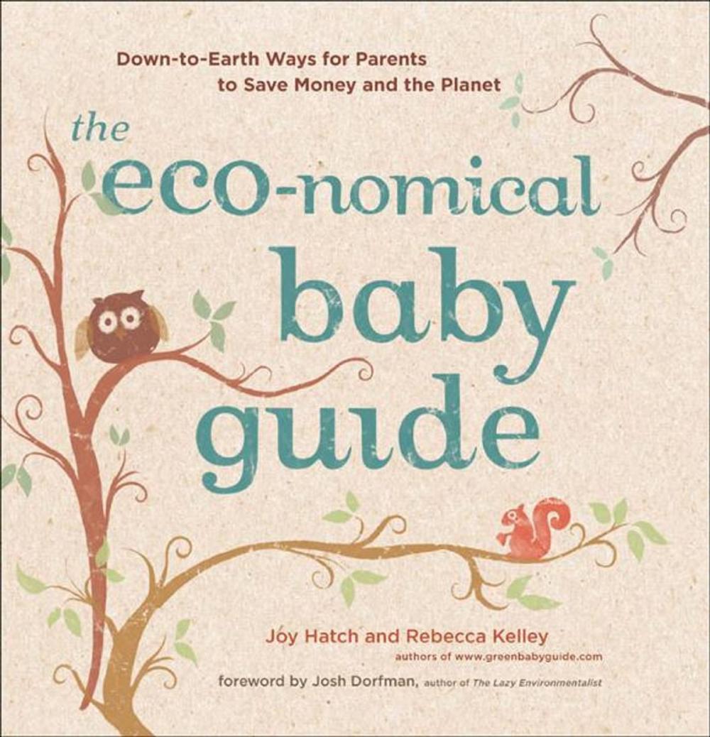 Big bigCover of The Eco-nomical Baby Guide