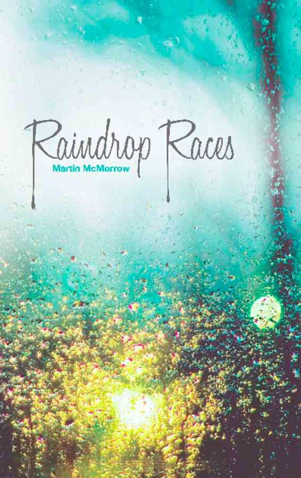 Big bigCover of Raindrop Races