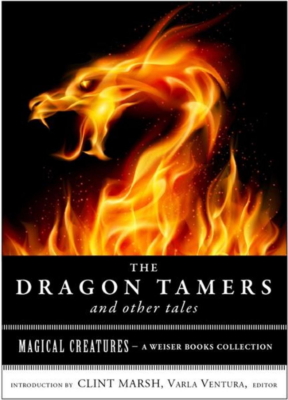 Big bigCover of The Dragon Tamers and Other Tales