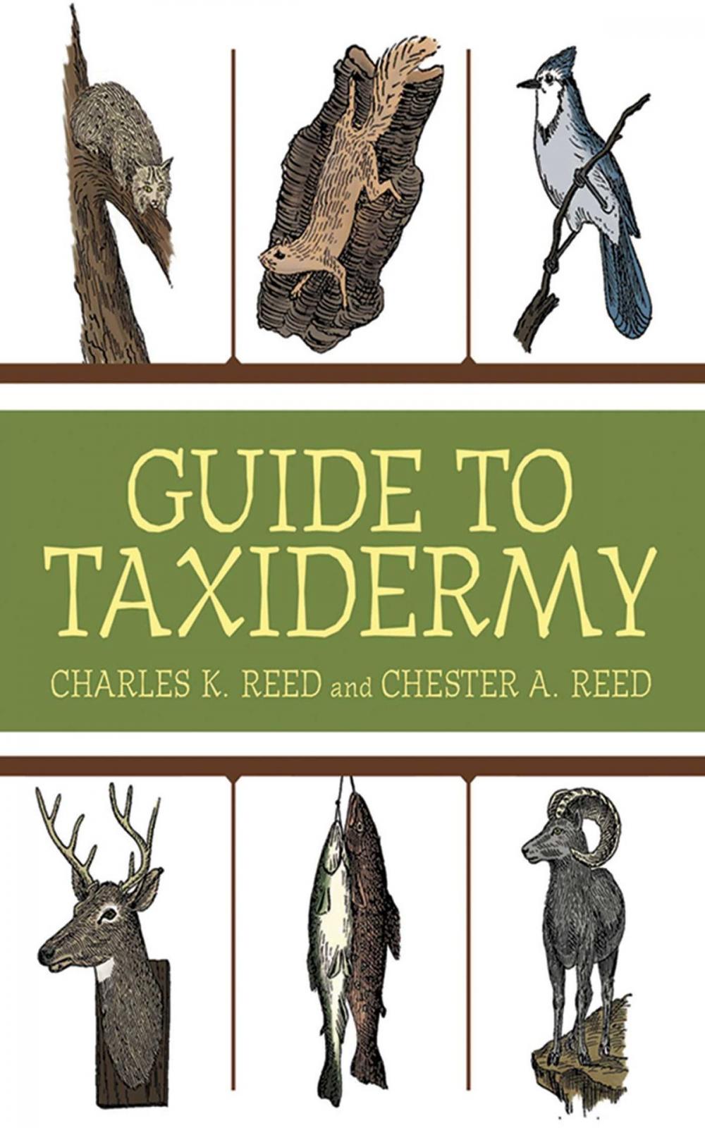 Big bigCover of Guide to Taxidermy