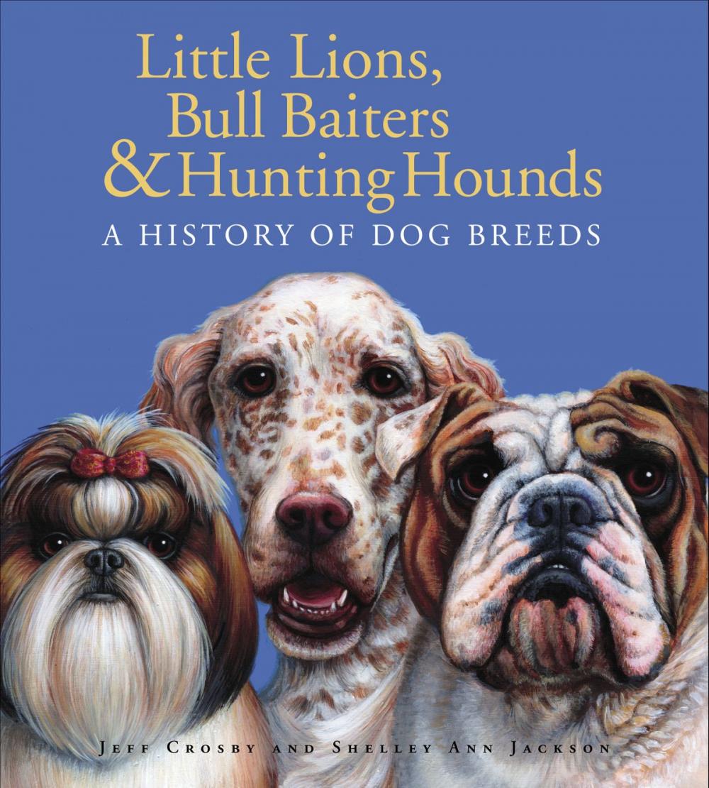 Big bigCover of Little Lions, Bull Baiters & Hunting Hounds