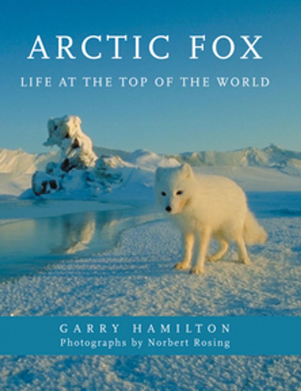 Big bigCover of Arctic Fox