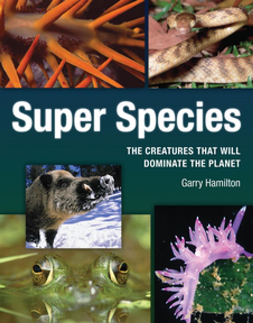 Big bigCover of Super Species