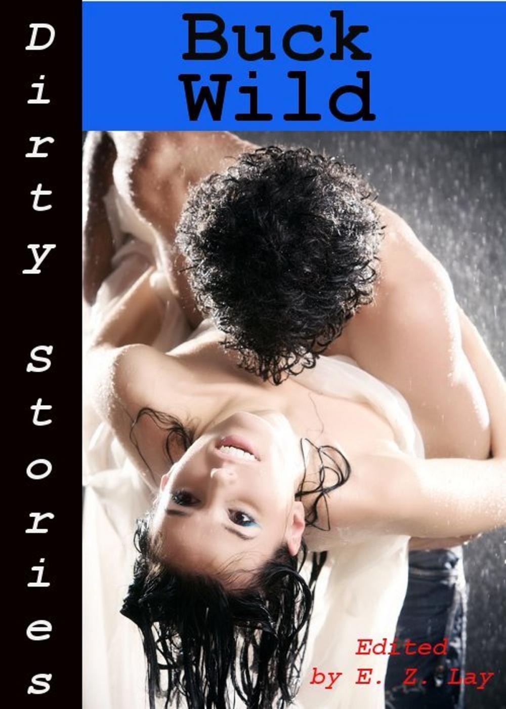 Big bigCover of Dirty Stories: Buck Wild, Erotic Tales