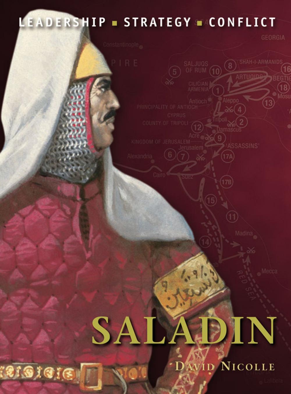 Big bigCover of Saladin