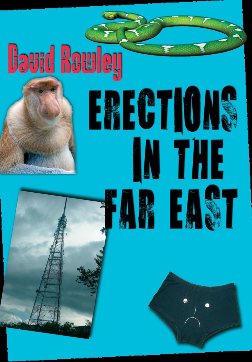 Big bigCover of Erections in the Far East