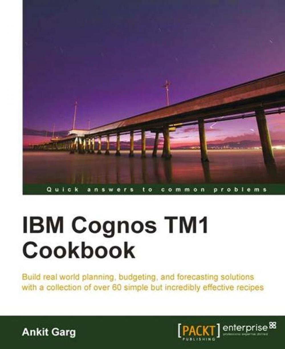 Big bigCover of IBM Cognos TM1 Cookbook