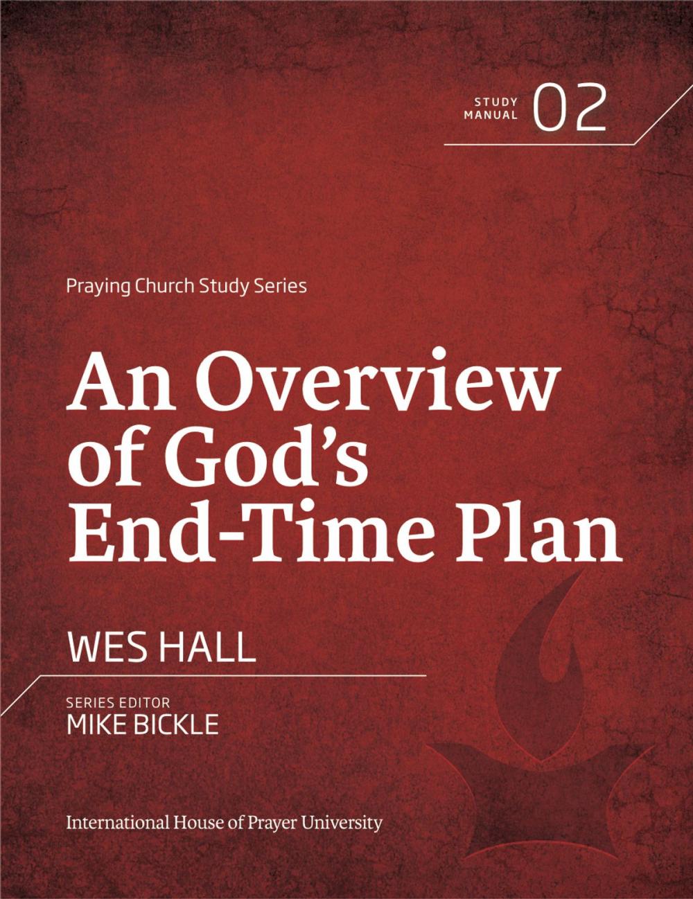 Big bigCover of An Overview of God's End-Time Plan