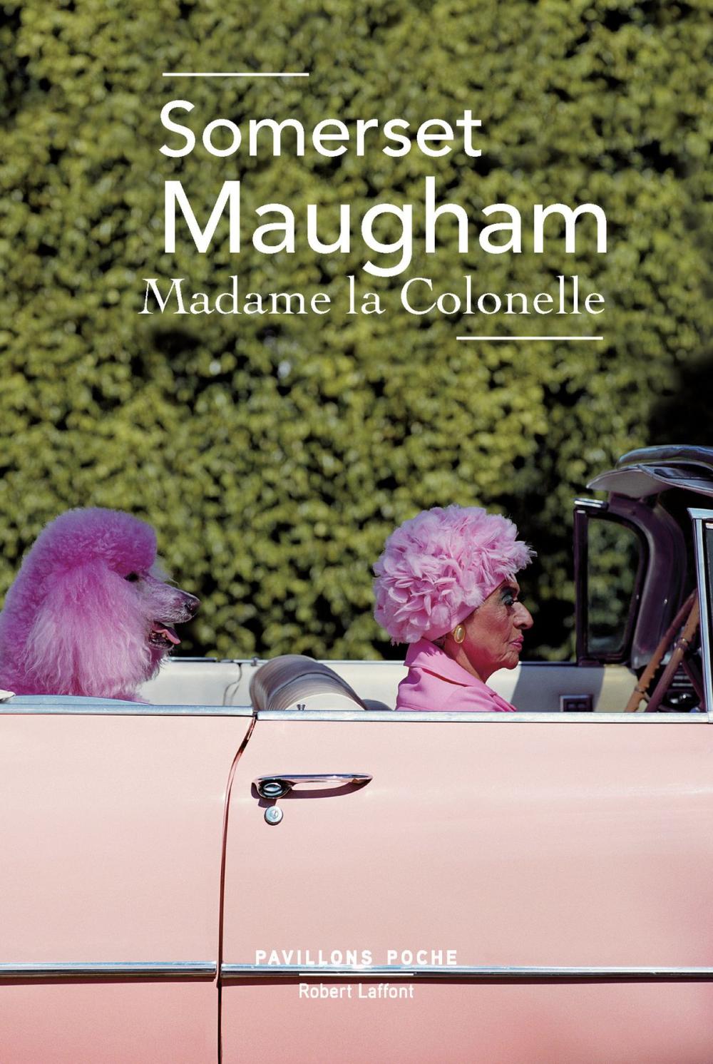 Big bigCover of Madame la colonelle