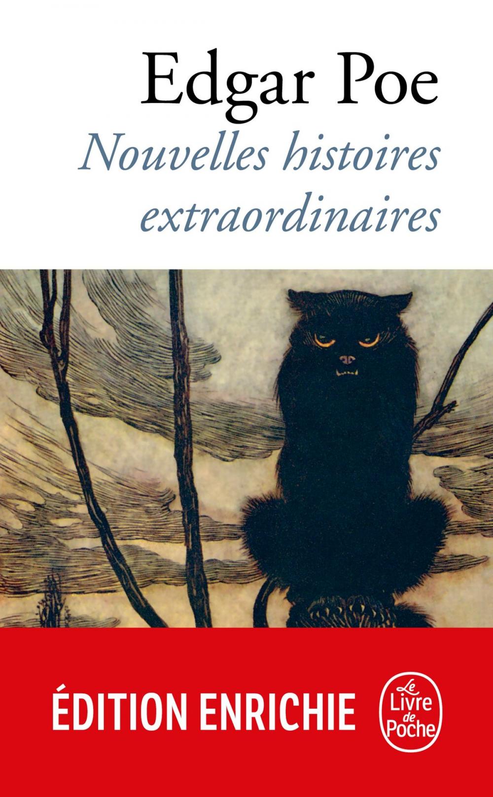 Big bigCover of Nouvelles histoires extraordinaires