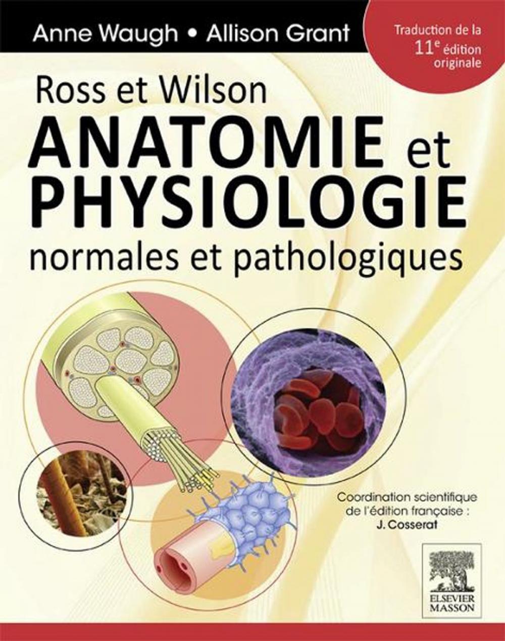 Big bigCover of Ross et Wilson. Anatomie et physiologie normales et pathologiques