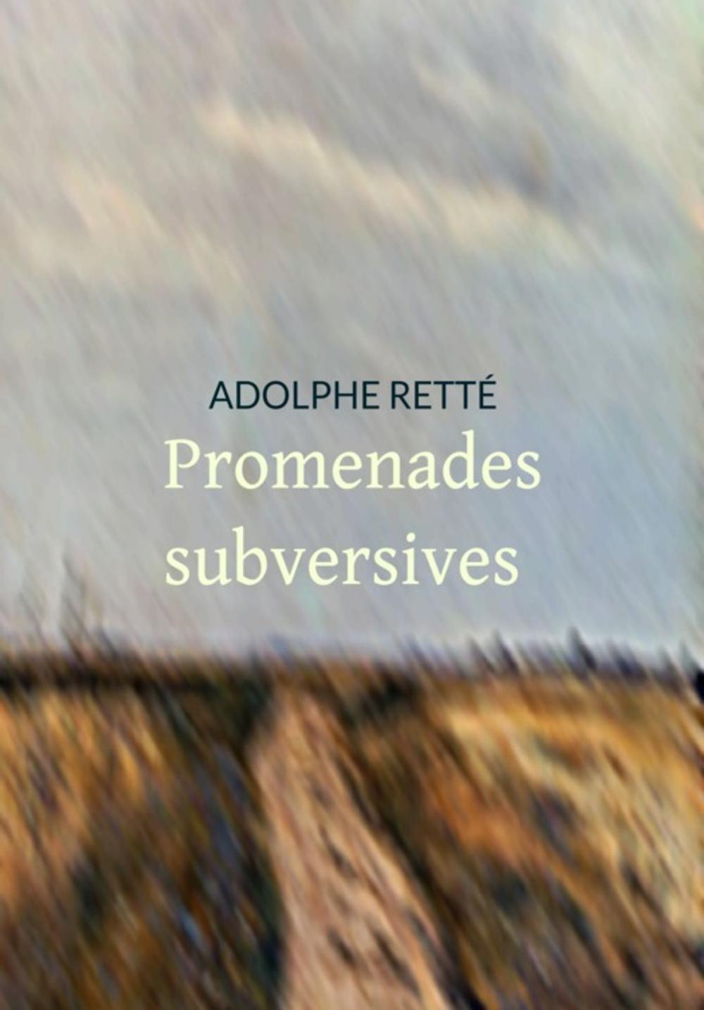 Big bigCover of Promenades subversives