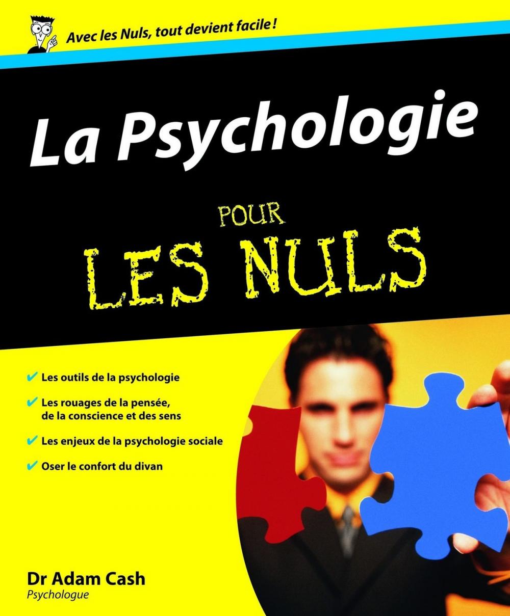 Big bigCover of Psychologie Pour les Nuls (La)