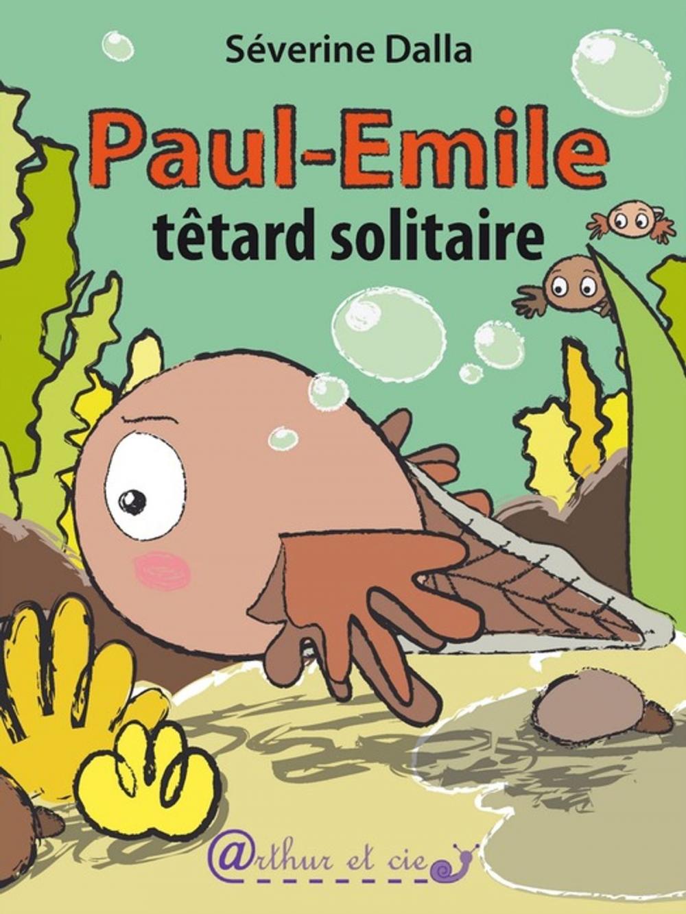 Big bigCover of Paul-Emile têtard solitaire