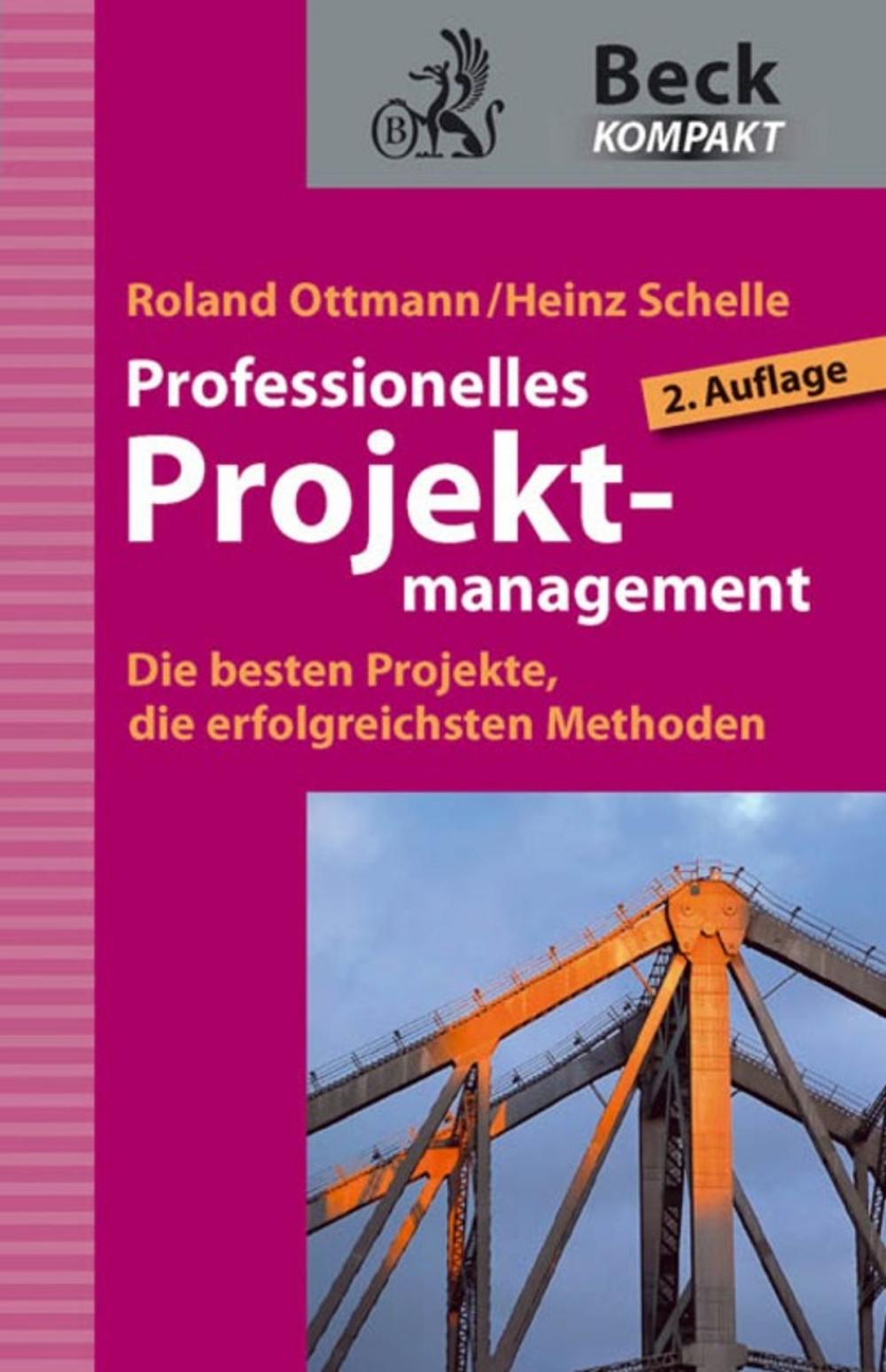 Big bigCover of Professionelles Projektmanagement