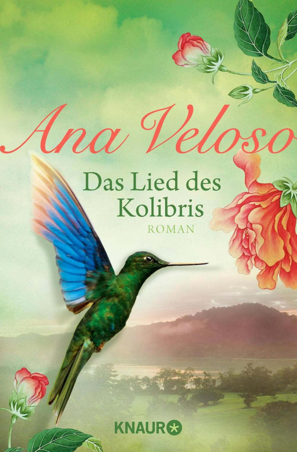 Big bigCover of Das Lied des Kolibris