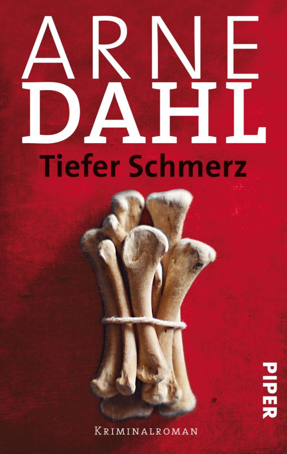 Big bigCover of Tiefer Schmerz