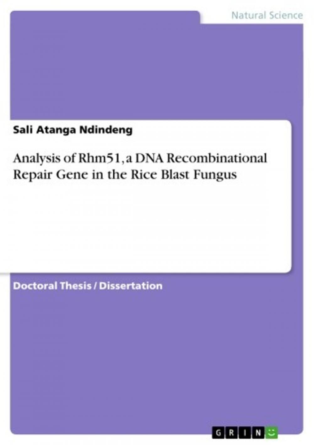 Big bigCover of Analysis of Rhm51, a DNA Recombinational Repair Gene in the Rice Blast Fungus