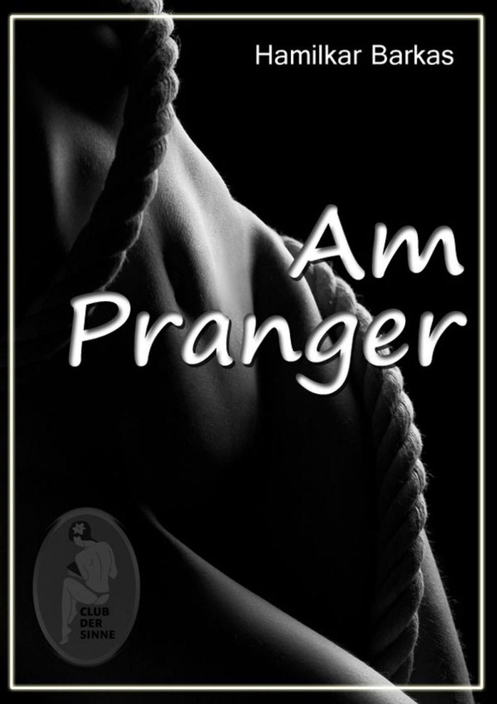 Big bigCover of Am Pranger