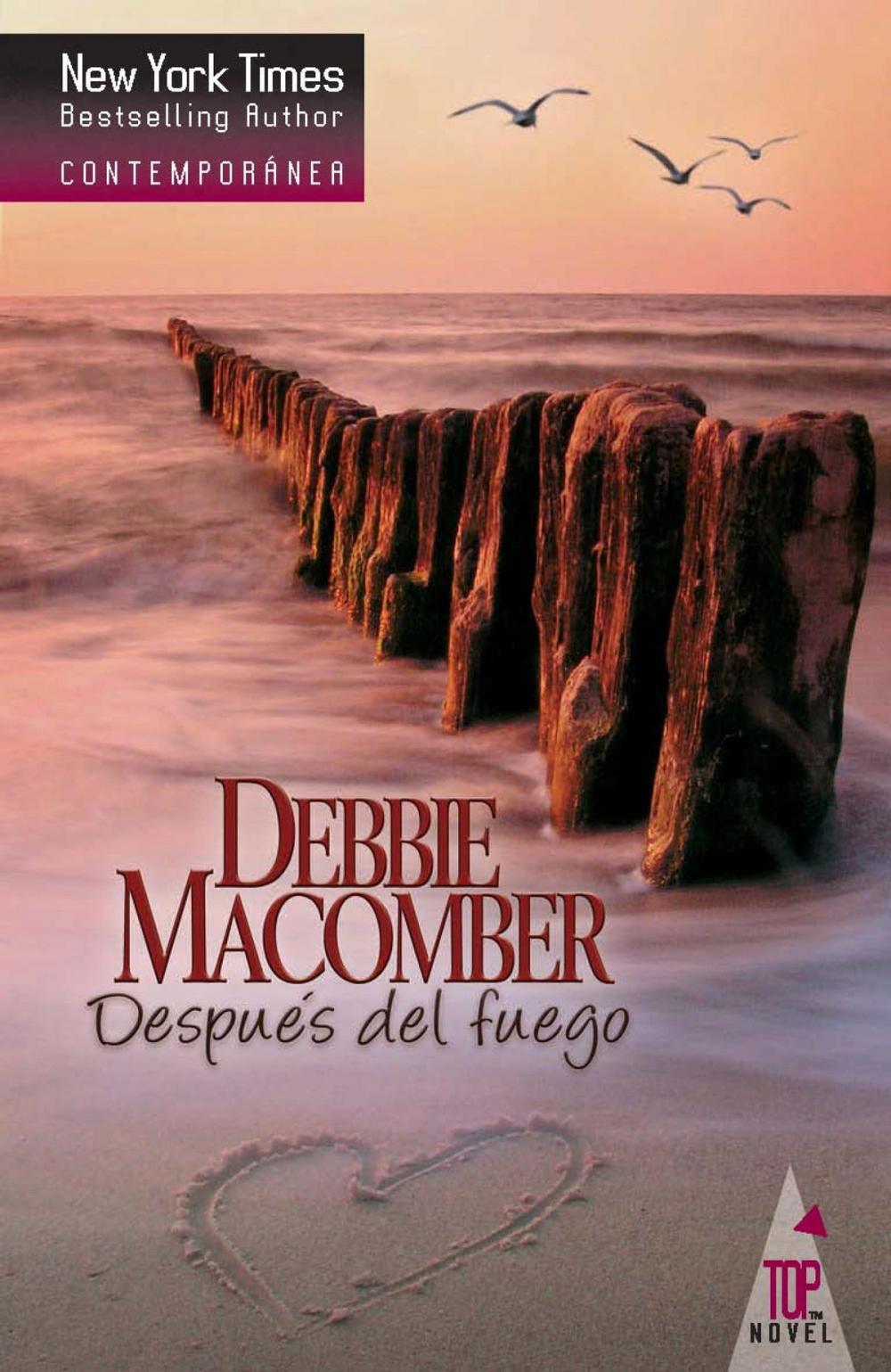 Big bigCover of Después del fuego