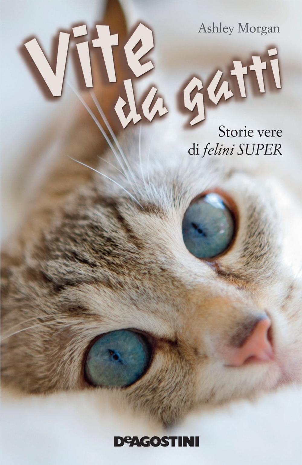 Big bigCover of Vite da gatti