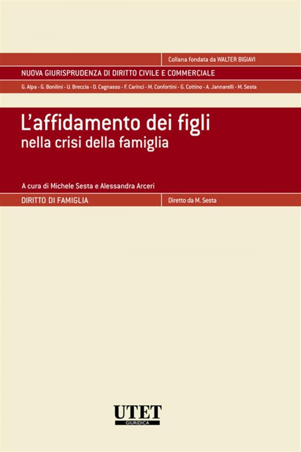 Big bigCover of L'affidamento dei figli nella crisi della famiglia