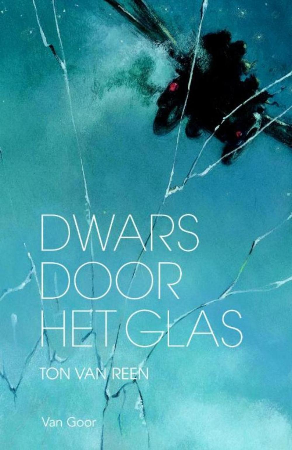 Big bigCover of Dwars door het glas