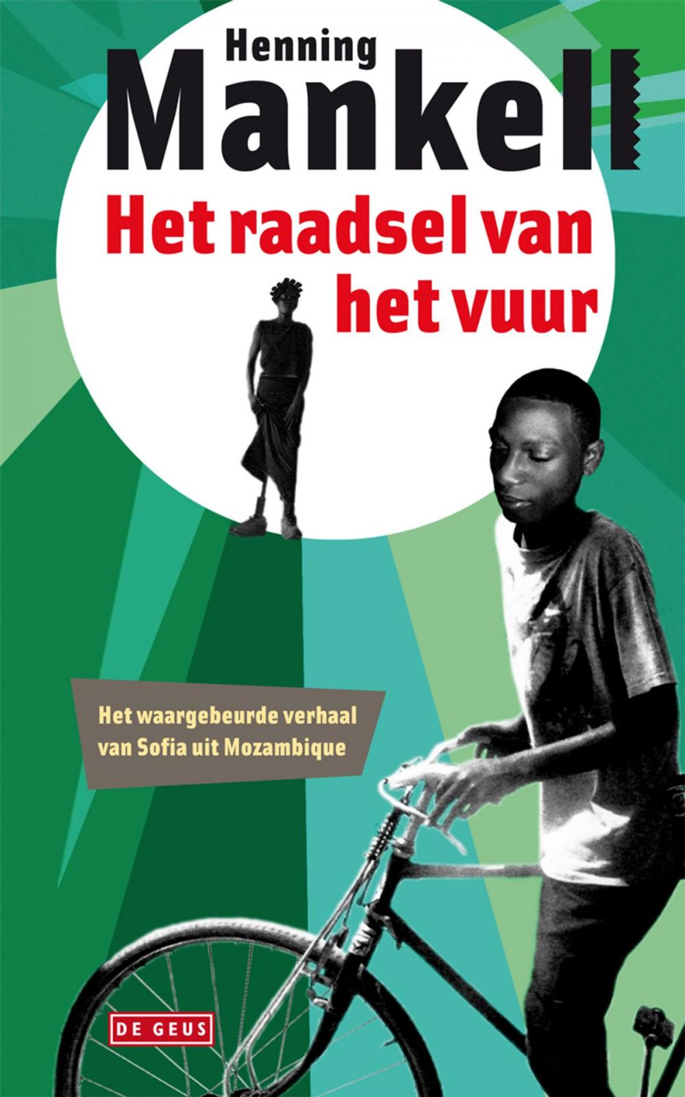 Big bigCover of Het raadsel van het vuur