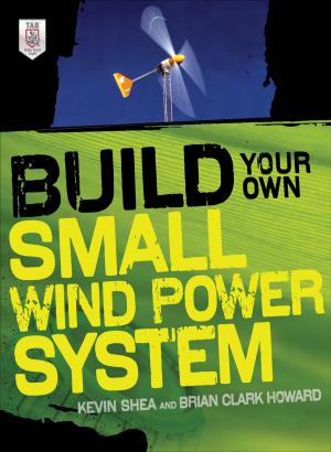 Cover of the book Build Your Own Small Wind Power System by Marshall Cook